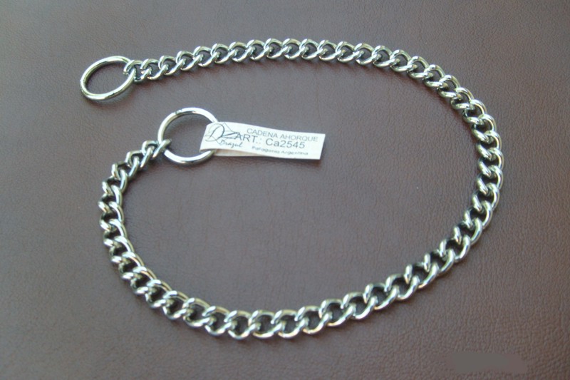 Collar de entrenamiento