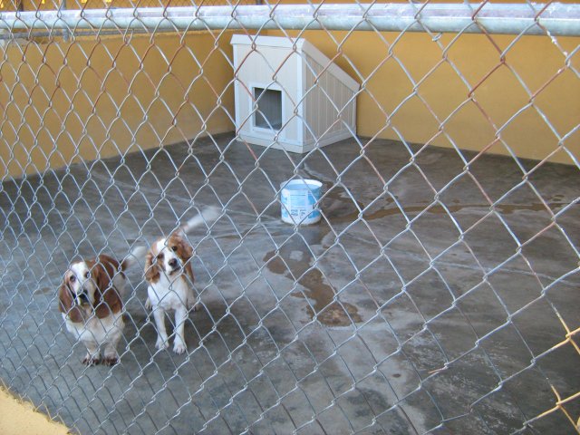 Instalaciones