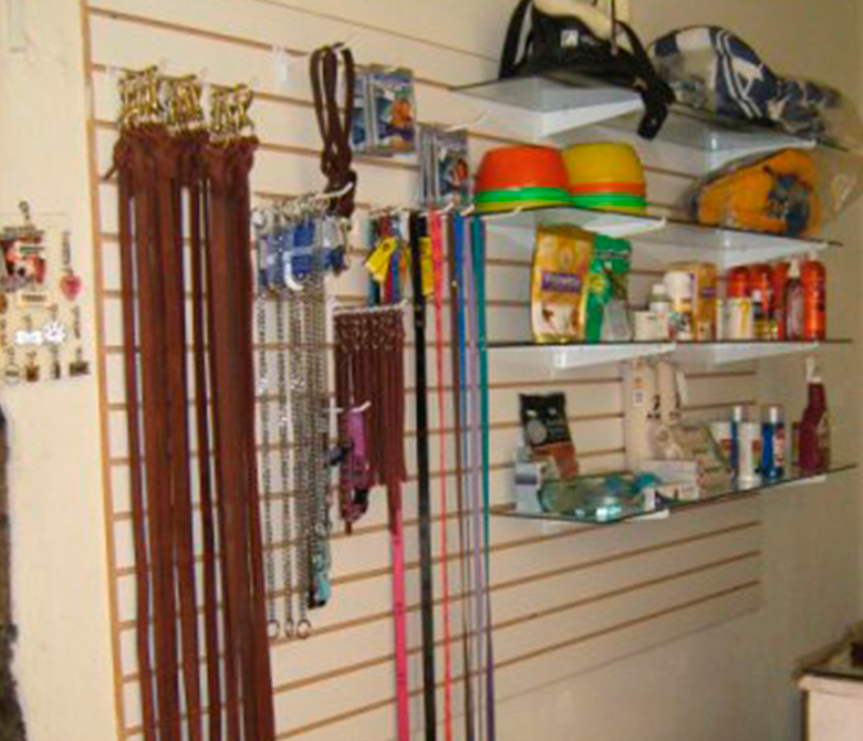 entrena-tu-can_accesorios