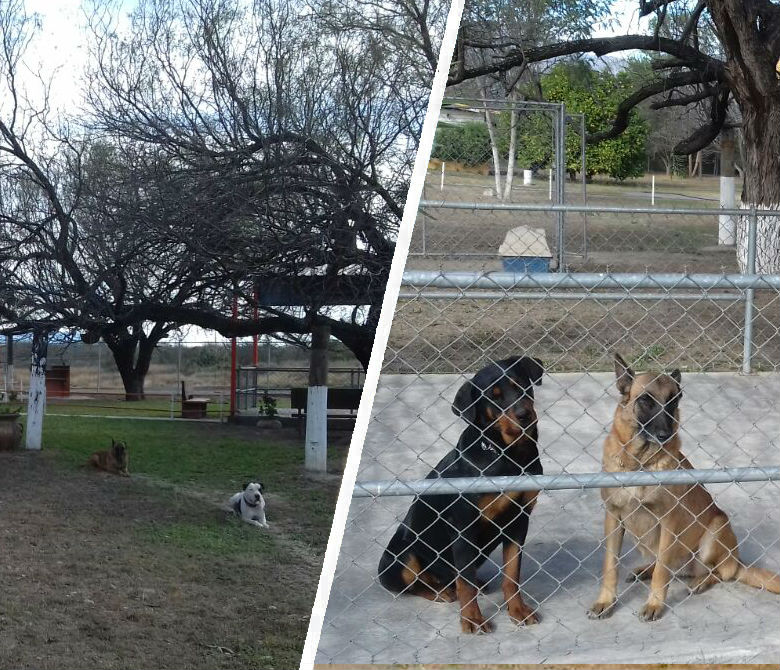 entrenatucan-instalaciones